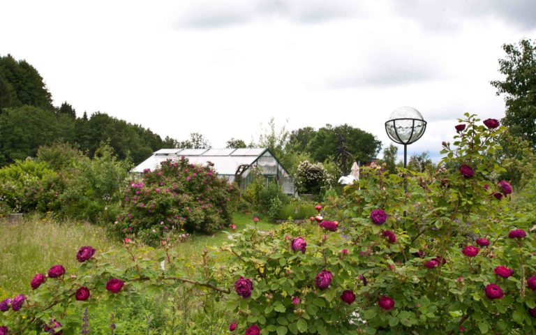 traumgarten-tannberg