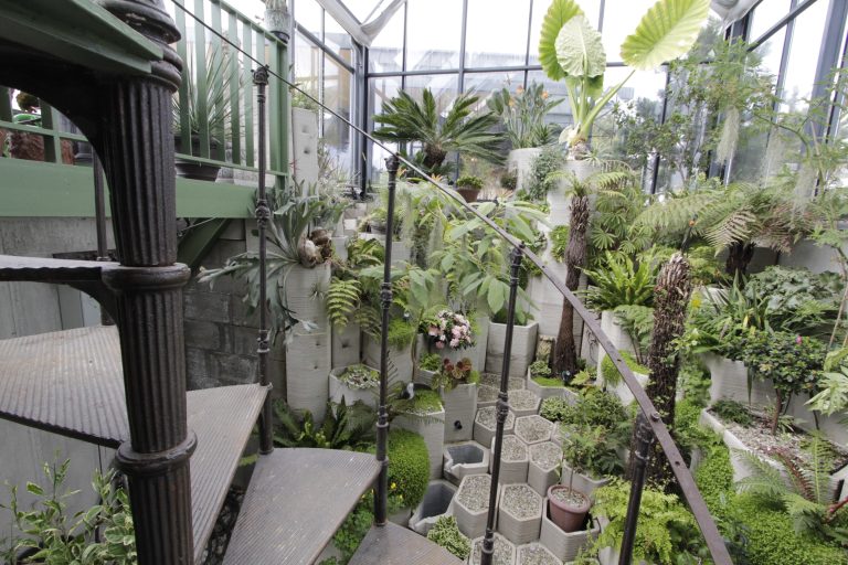 ecolutionlab_fernery01