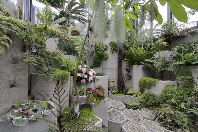 ecolutionlab_fernery02