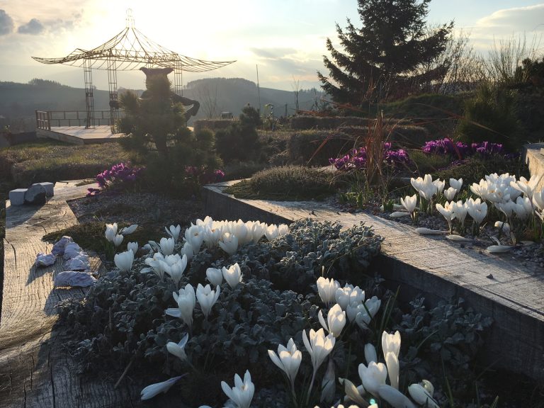 ecolutionlab_frühling02