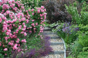 Keramikgarten Rosen