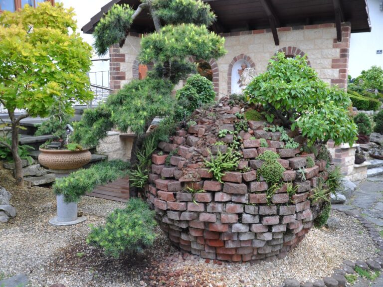Bonsai / Penjing Garten