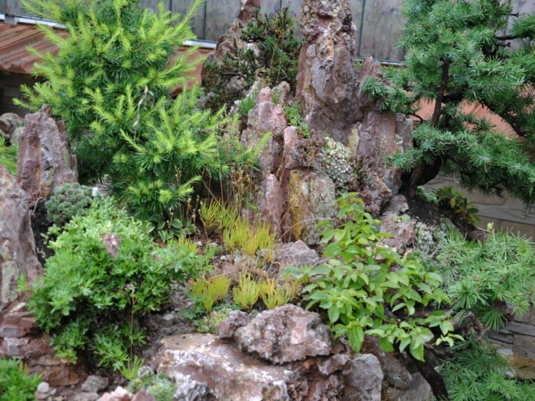 Bonsai Penjing Garten