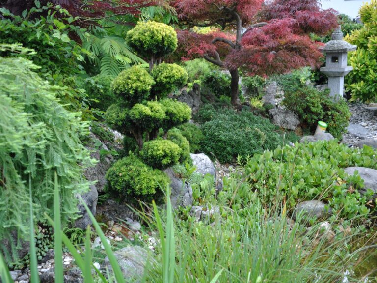 Bonsai Penjing Garten