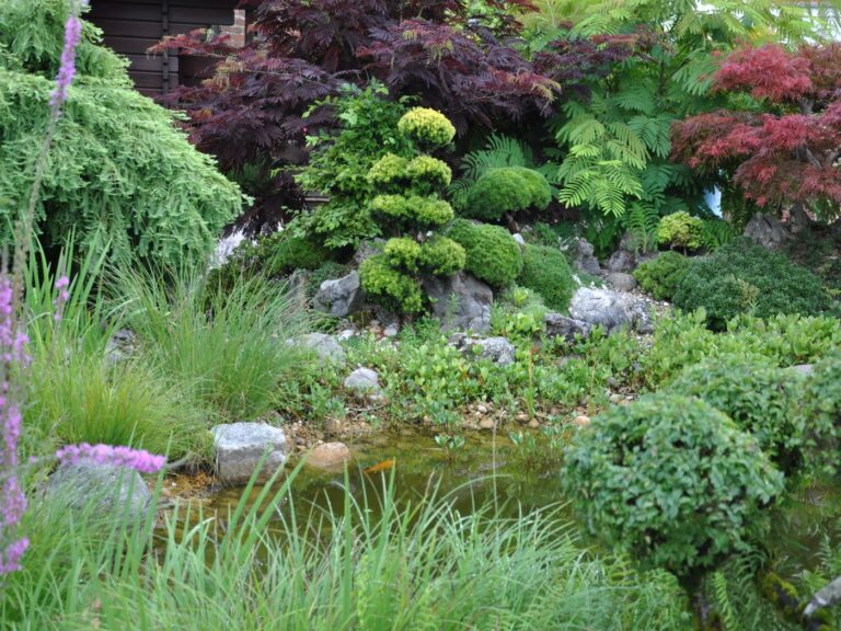 Bonsai Penjing Garten