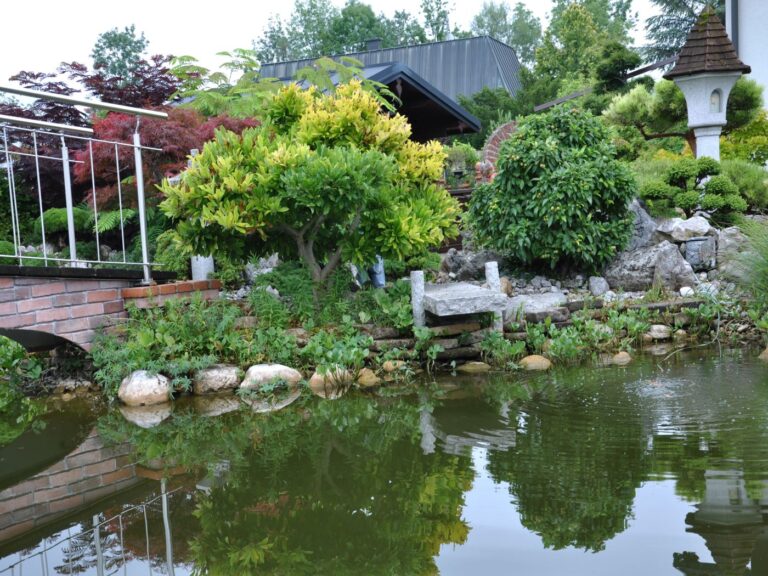 Bonsai Penjing Garten