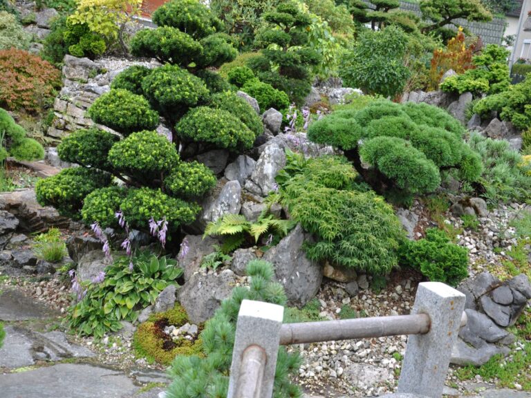 Bonsai Penjing Garten
