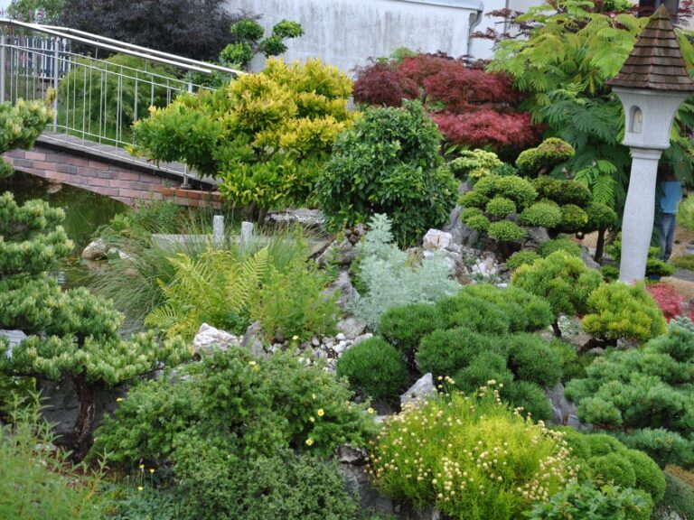 Bonsai Penjing Garten
