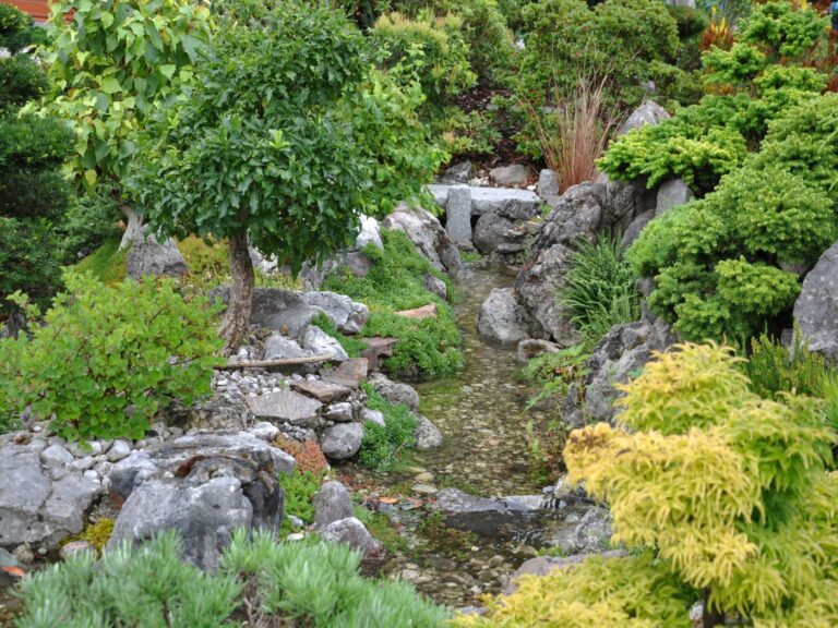 Bonsai Penjing Garten
