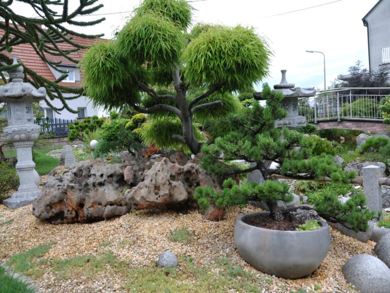 Bonsai Penjing Garten