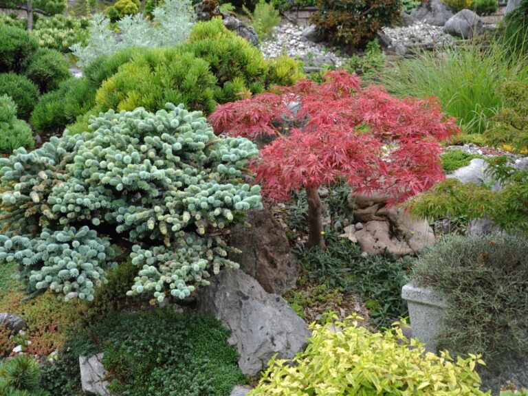 Penjing Garten Traun