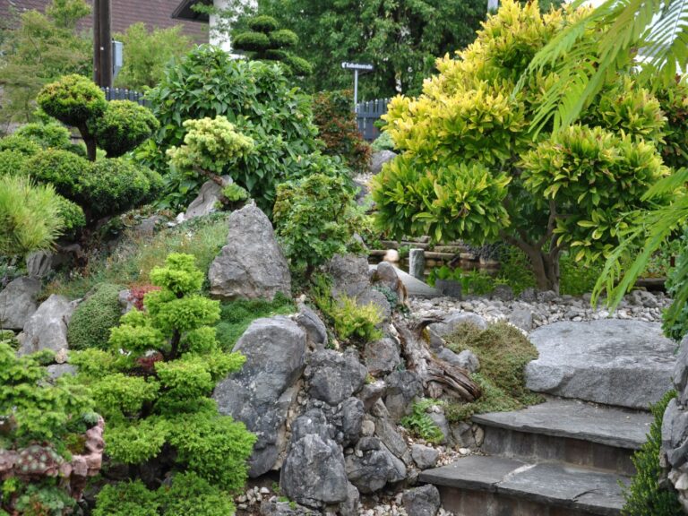 Bonsaigarten0029