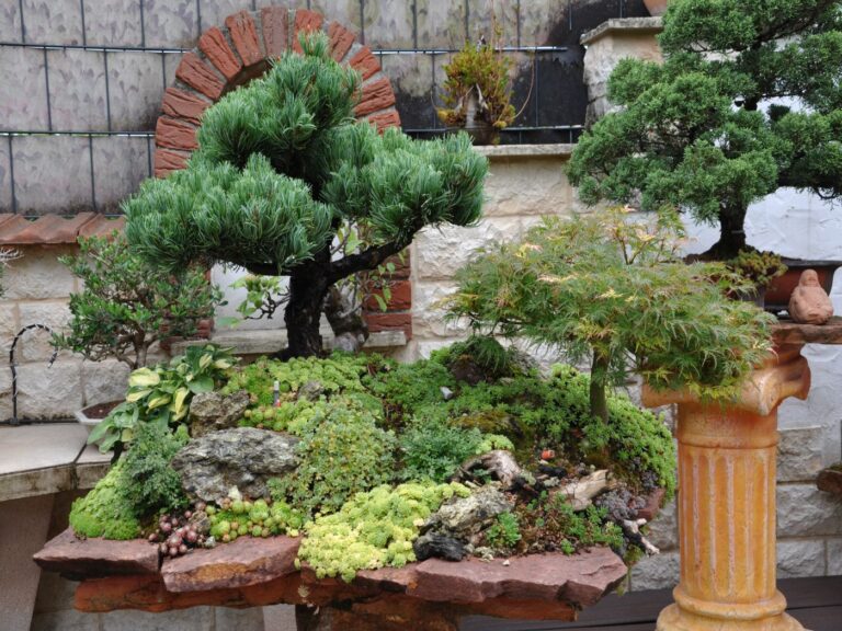 Bonsai Penjing garten