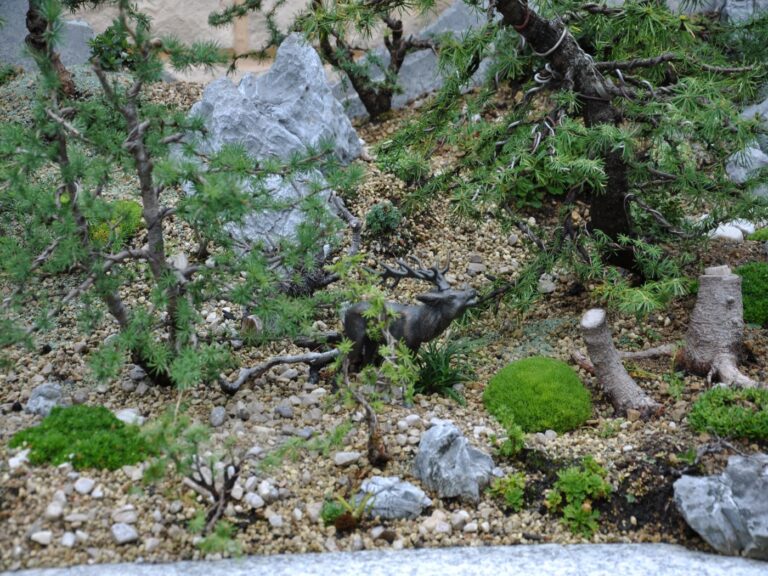 Bonsai Penjing Garten