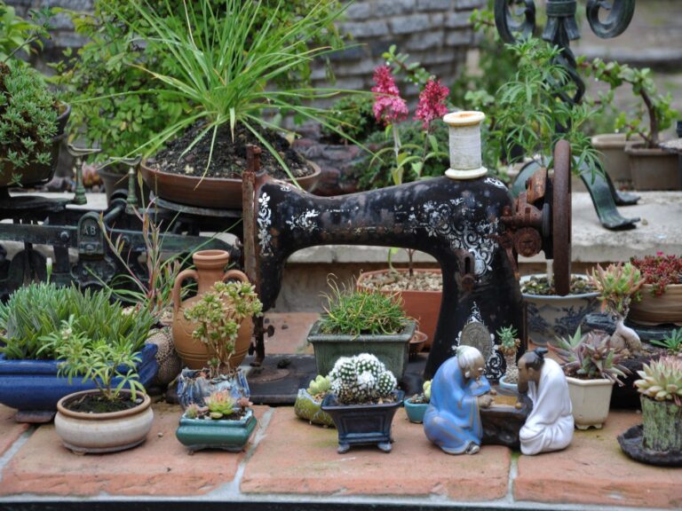 Bonsai Penjing Garten